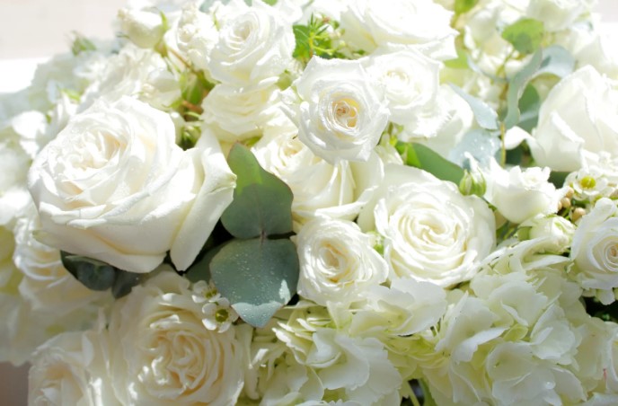 secret language of flowers secret language of flowers